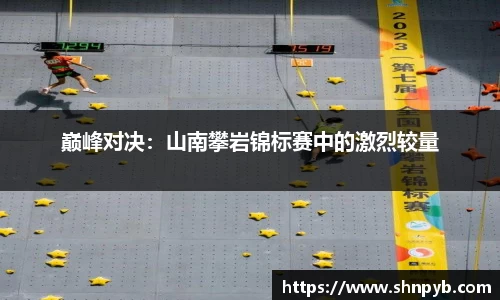 B体育登录入口APP