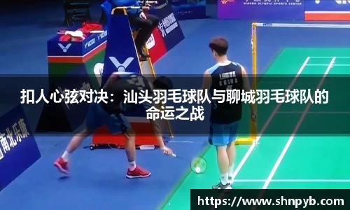 B体育登录入口手机版APP