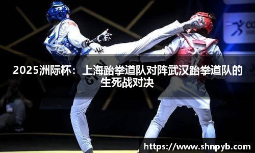 B体育登录入口APP